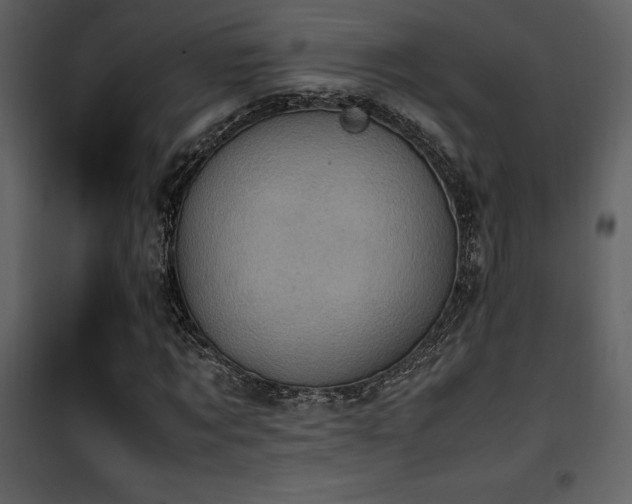 X0000102010869200807181226
