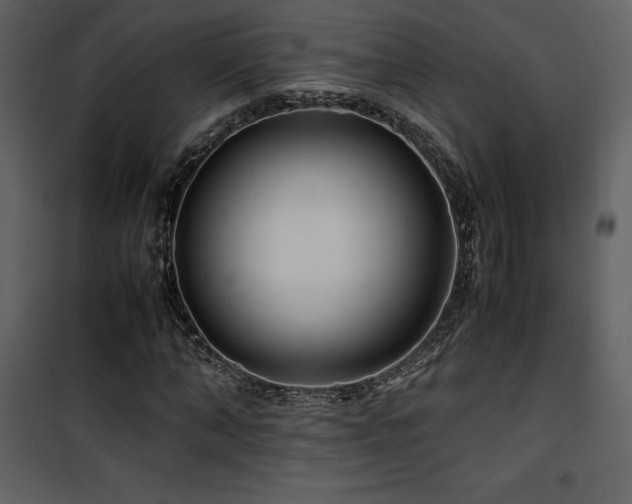 X0000102010870200807181226