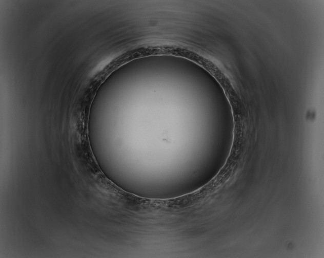 X0000102010871200807181226