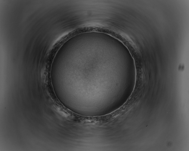 X0000102010872200807181226
