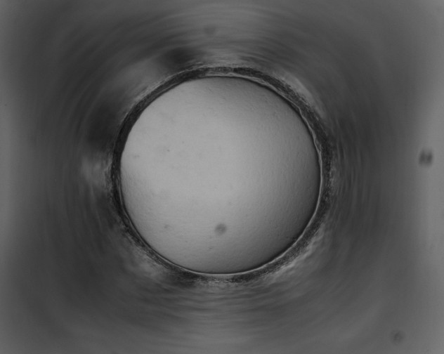 X0000102010873200807181226