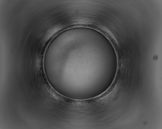 X0000102010874200807181226