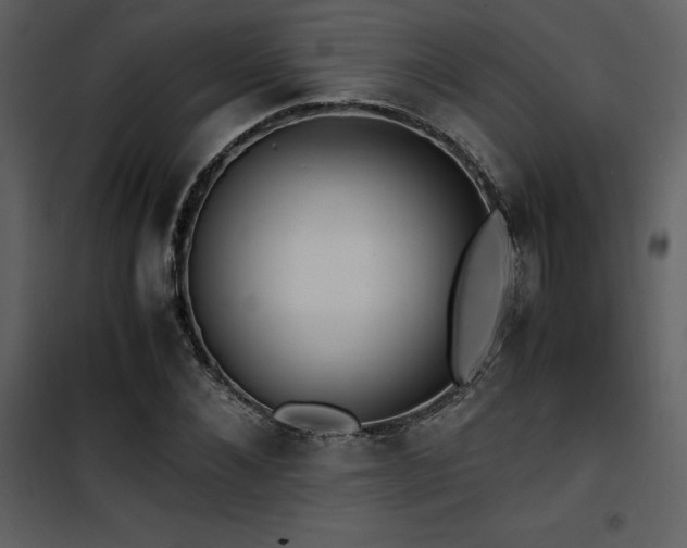 X0000102010876200807181226