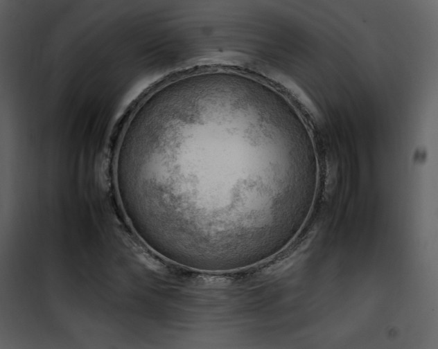 X0000102010878200807181226