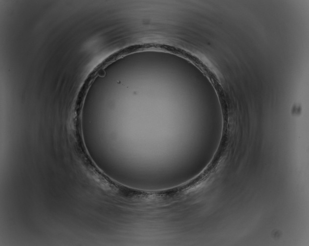 X0000102010879200807181226