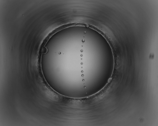 X0000102010880200807181226