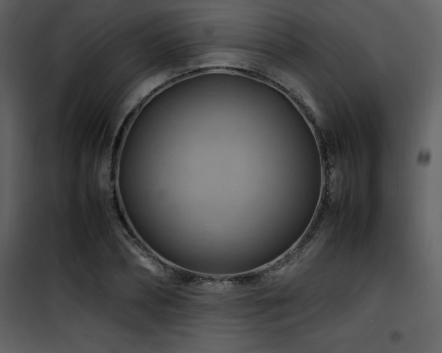 X0000102010882200807181226