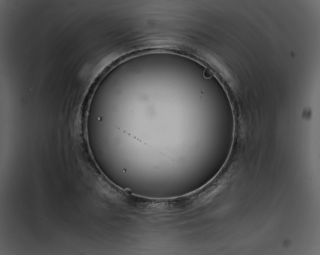 X0000102010883200807181226