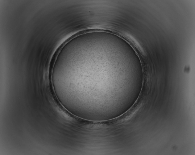 X0000102010884200807181226