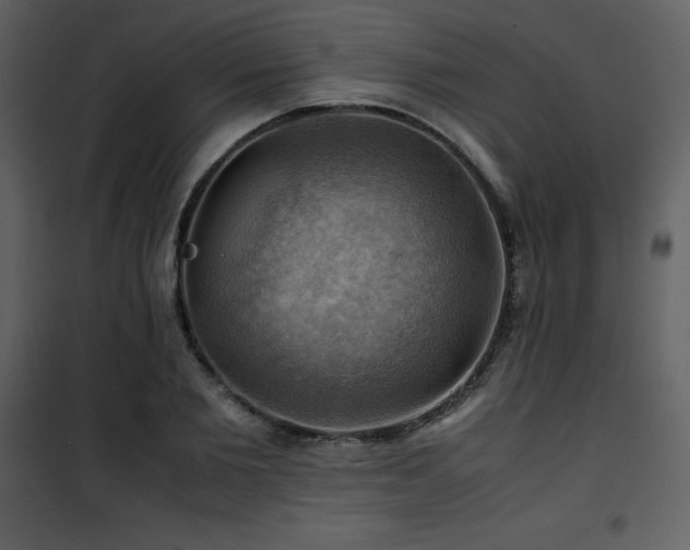 X0000102010885200807181226
