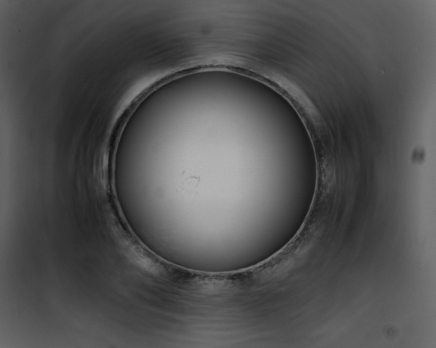 X0000102010886200807181226