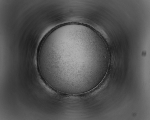 X0000102010888200807181226