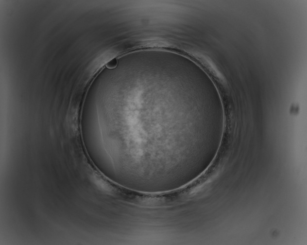 X0000102010889200807181226
