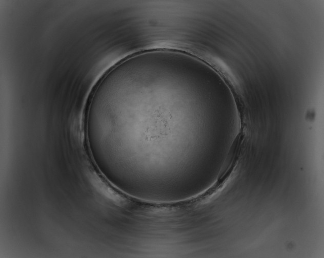 X0000102010892200807181226