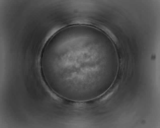 X0000102010893200807181226