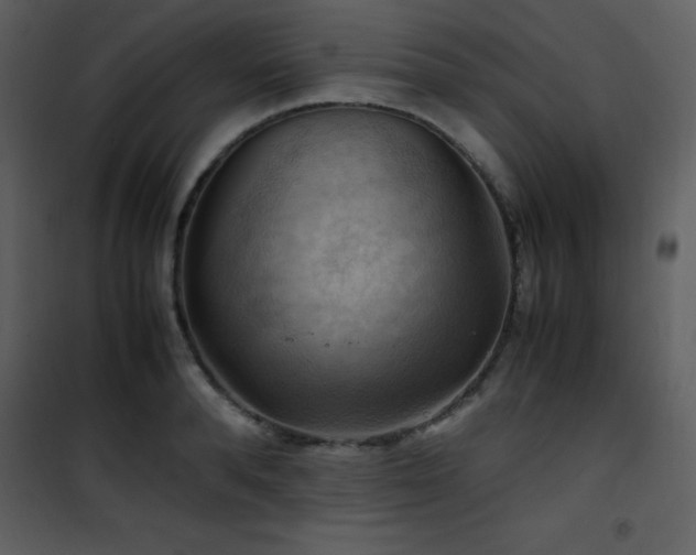 X0000102010896200807181226
