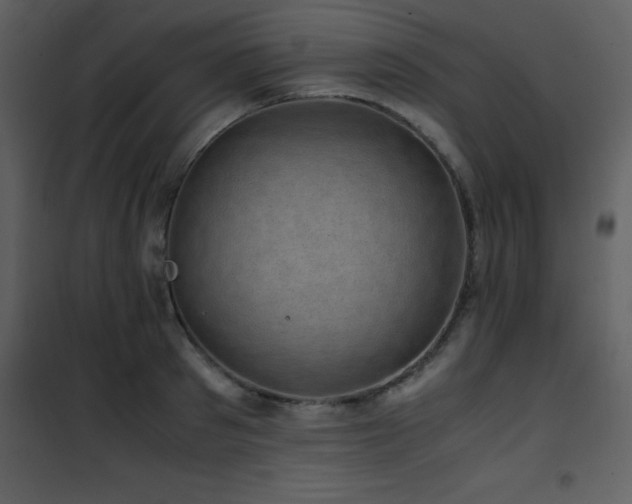 X0000102010897200807181226