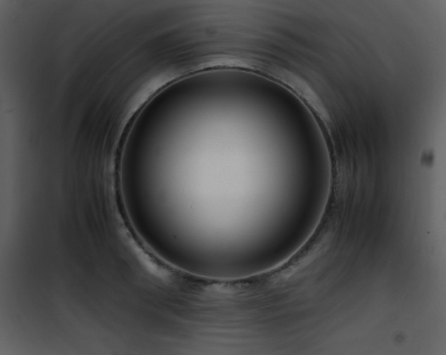 X0000102010898200807181226