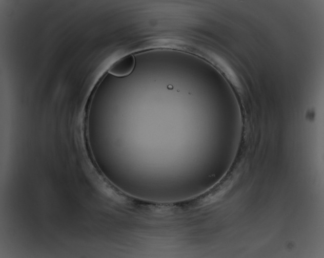 X0000102010899200807181226