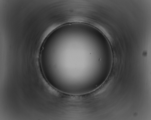 X0000102010901200807181226