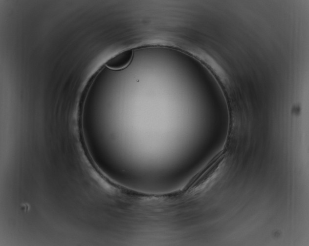 X0000102010902200807181226