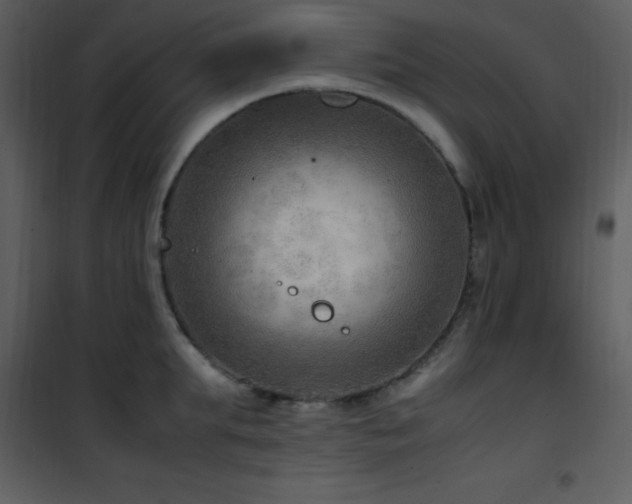 X0000102010903200807181225