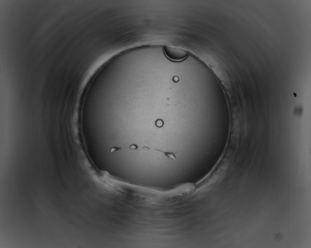 X0000102010904200807181225