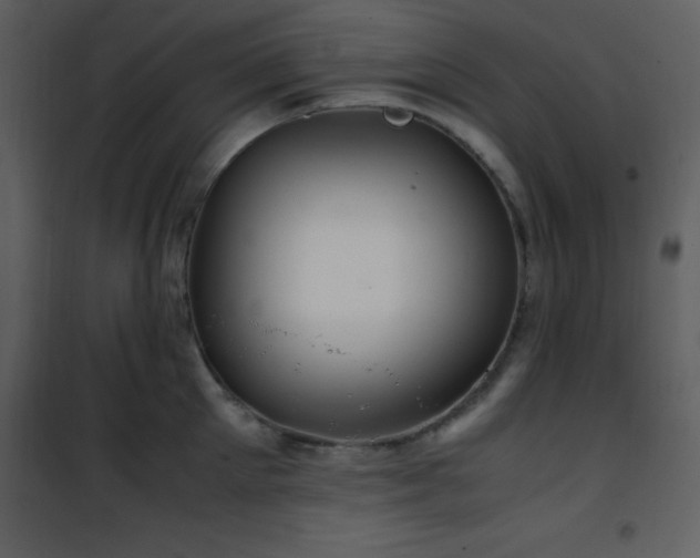 X0000102010905200807181225