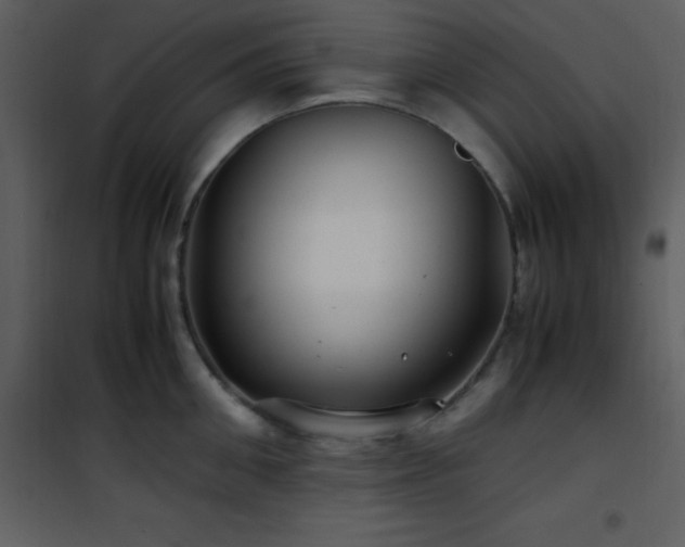 X0000102010906200807181225