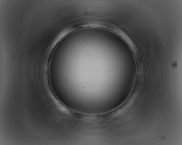 X0000102010909200807181225