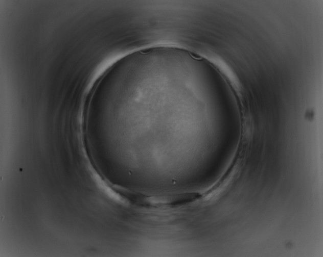 X0000102010910200807181225