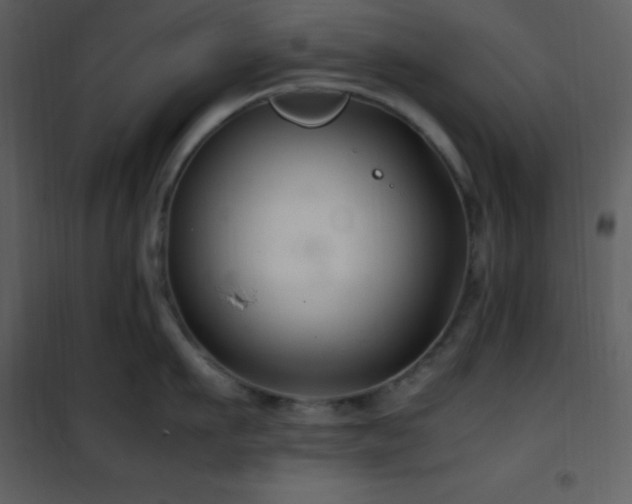 X0000102010911200807181225