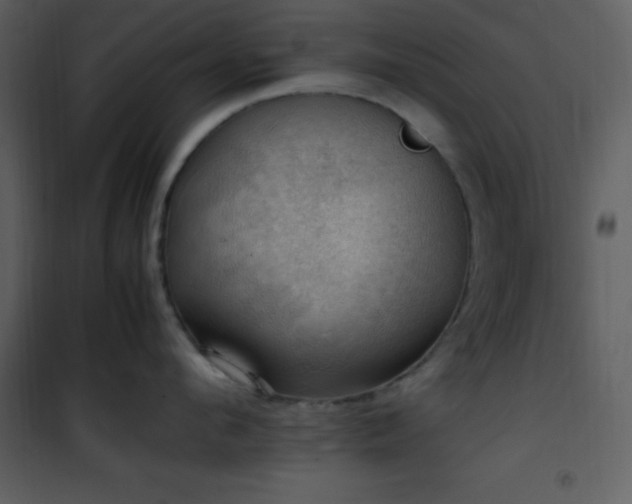X0000102010912200807181225