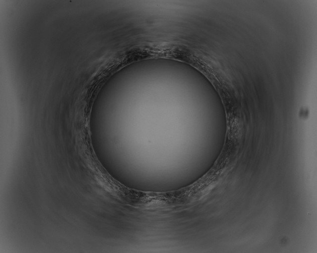 X0000102010913200807181225