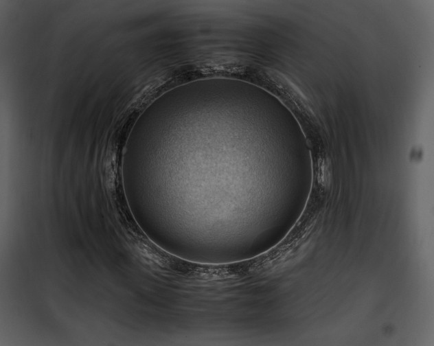 X0000102010915200807181225