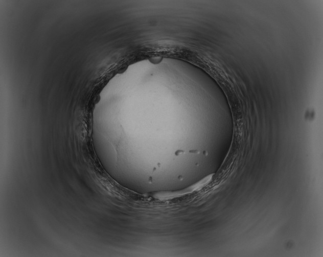 X0000102010916200807181225