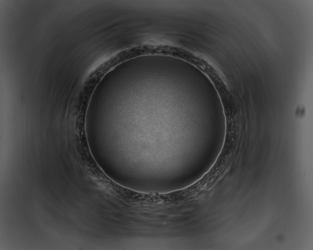 X0000102010919200807181225