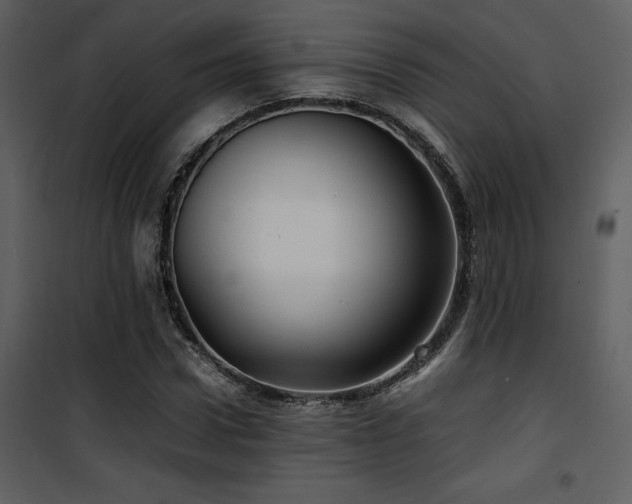 X0000102010922200807181225