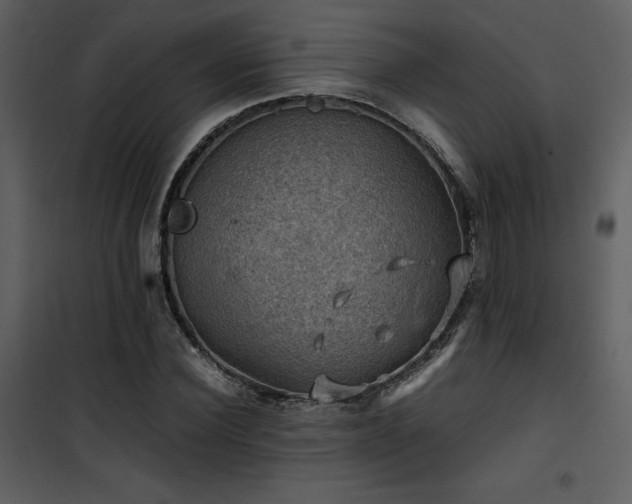 X0000102010924200807181225