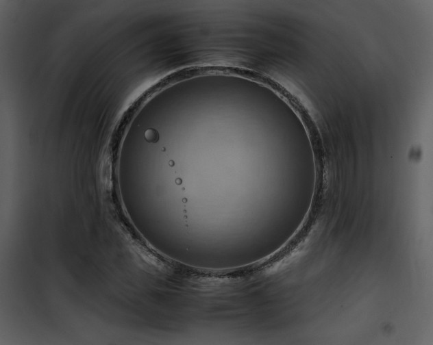X0000102010925200807181225