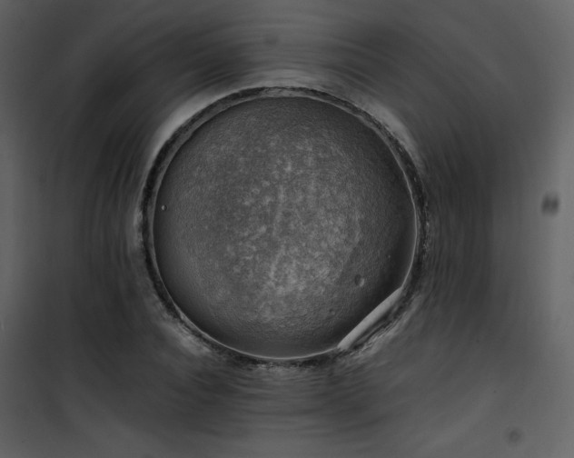 X0000102010928200807181225