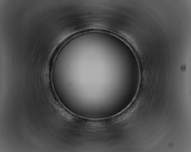 X0000102010931200807181225