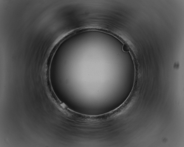 X0000102010933200807181225