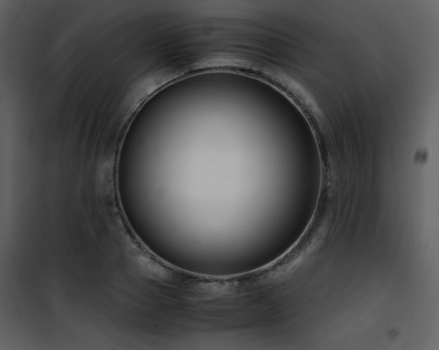 X0000102010937200807181225