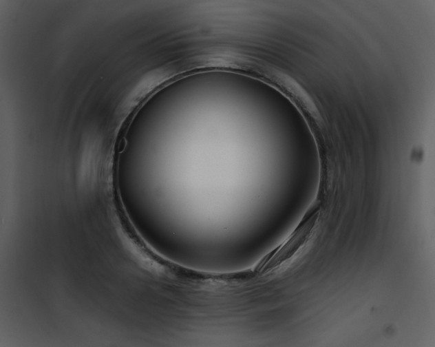 X0000102010938200807181225