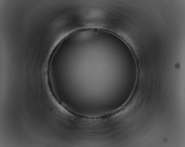 X0000102010941200807181225