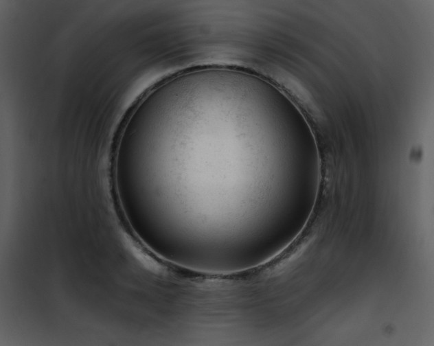 X0000102010942200807181225