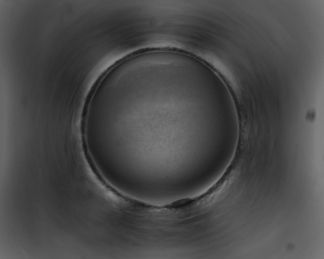 X0000102010943200807181225