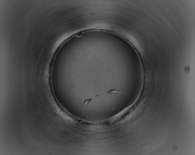X0000102010944200807181225