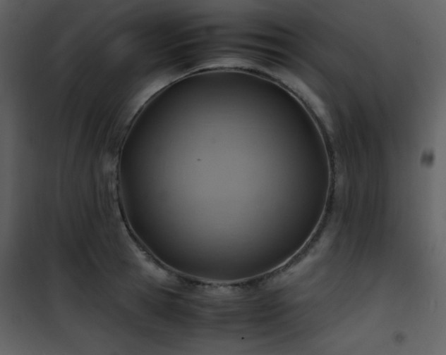 X0000102010945200807181225